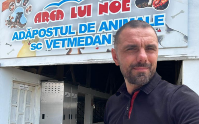 Untitled-design-40-1000x667.png - StirileCorecte