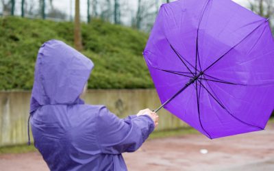 Cinci județe se află sub avertizare de vânt puternic. Anunțul meteorologilor