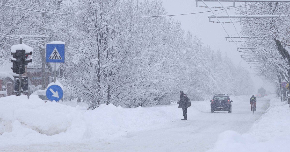 Viscol și ninsori în București și 25 de județe: școli închise, trafic blocat și mii de oameni fără energie. Date de ultimă oră