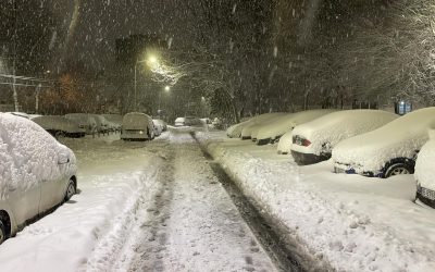 WhatsApp-Image-2026-02-18-at-06.20.02.jpeg - StirileCorecte