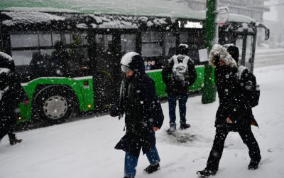 YzFhOTdmYTM0OGE0ZGNlZTA1MjVhOTAzMTM1MQ.thumb_.jpg - StirileCorecte