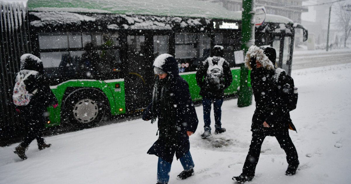 Viscolul lovește Bucureștiul: școli închise și drumuri blocate.