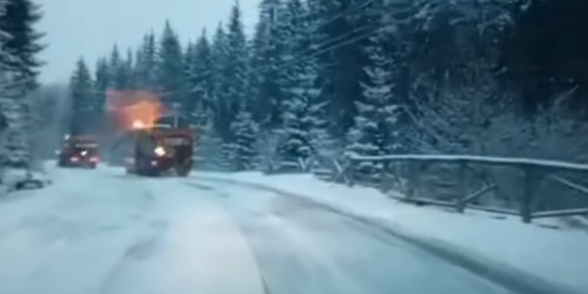 aD02MzAmemM9MSZoYXNoPTAyMTc2YmM0MjAzZDhiOTlkMjg3NmQxYzllNzdlNDkx.thumb_.jpg - StirileCorecte