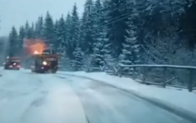 aD02MzAmemM9MSZoYXNoPTAyMTc2YmM0MjAzZDhiOTlkMjg3NmQxYzllNzdlNDkx.thumb_.jpg - StirileCorecte