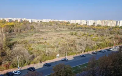 amendaior-1.webp.webp - StirileCorecte