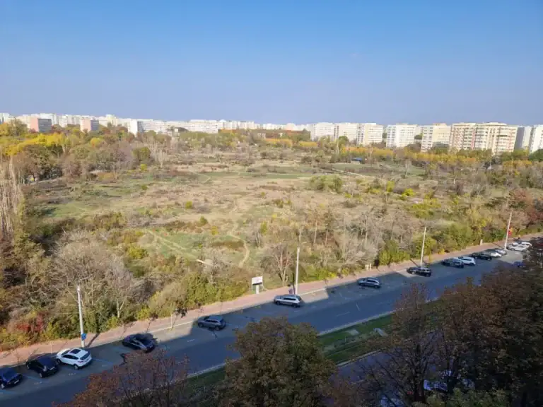 amendaior-1.webp.webp - StirileCorecte