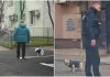 amenzi-bucuresteni-care-nu-strang-dupa-cainii-lor.jpg - StirileCorecte