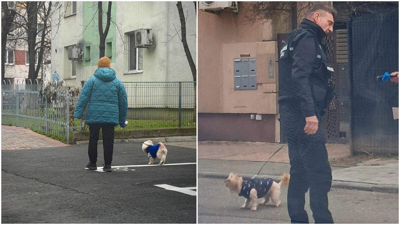 Amenzi drastice pentru nevărsarea de mizerie de către stăpânii de animale din Sectorul 3 Municipiul București, prin autoritatea locală a Sectorului 3, intensifică controalele și sancțiunile pentru cetățenii care nu respectă normele privind curățenia publică în preajma câinilor de companie