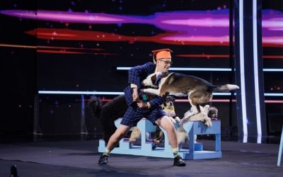 dresor-caini.jpg - StirileCorecte