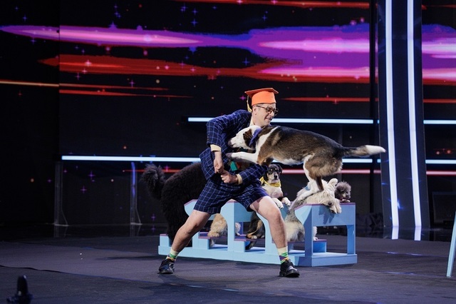 dresor-caini.jpg - StirileCorecte