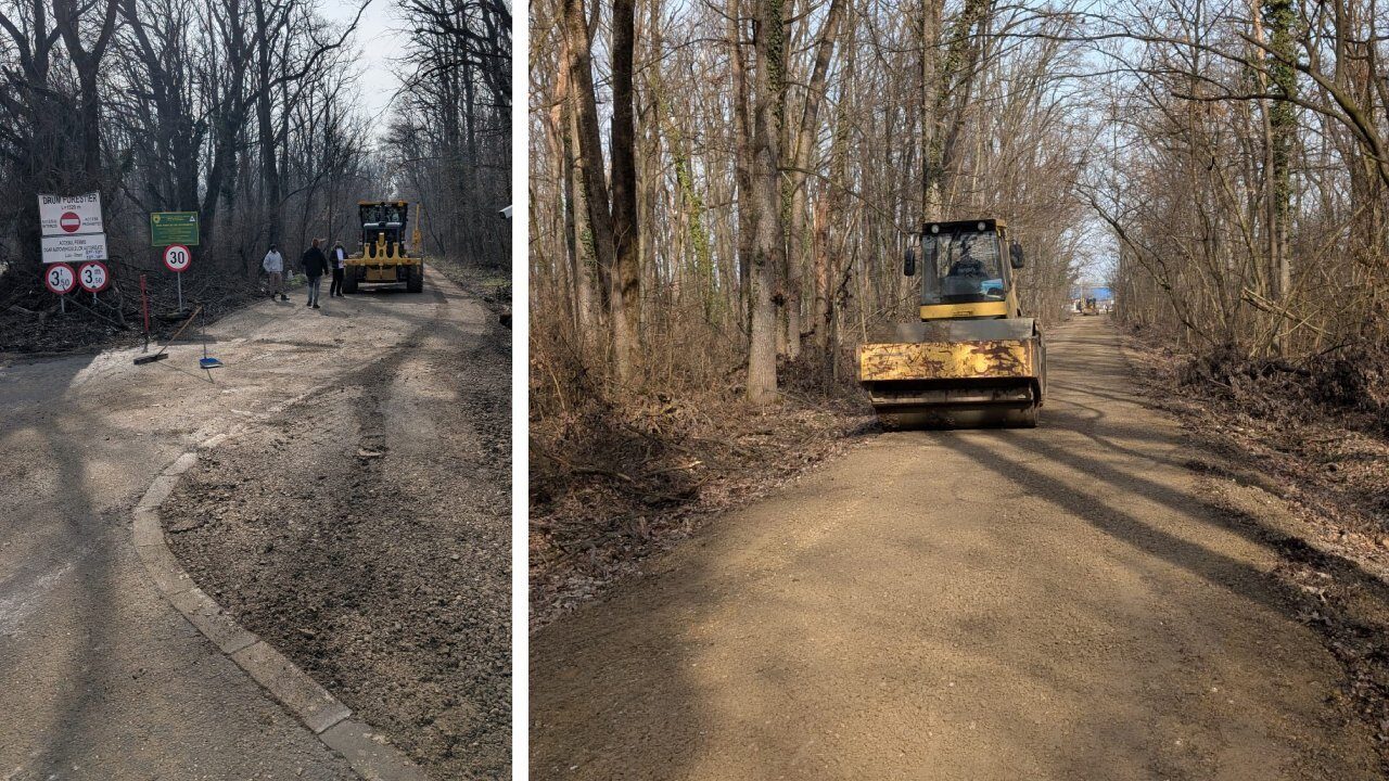 Controversă majoră în pădurea Băneasa: drumul Greenfield, între legalizare și reîmpădurire forțată Situația drumului asfaltat care leagă cartierul Greenfield de pădurea Băneasa a devenit, din nou, subiect de dispută acerbă între autorități și reprezentanții zonelor rezidențiale