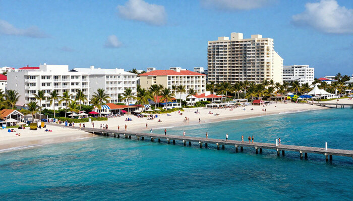 freepik__newsstyle-photo-of-palm.jpg - StirileCorecte