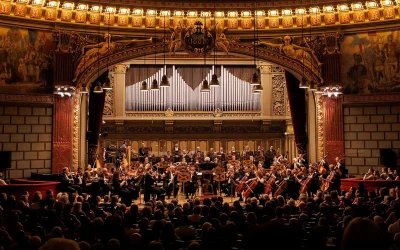 image.webp.webp - StirileCorecte