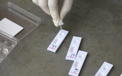 img-1-1.jpg - StirileCorecte