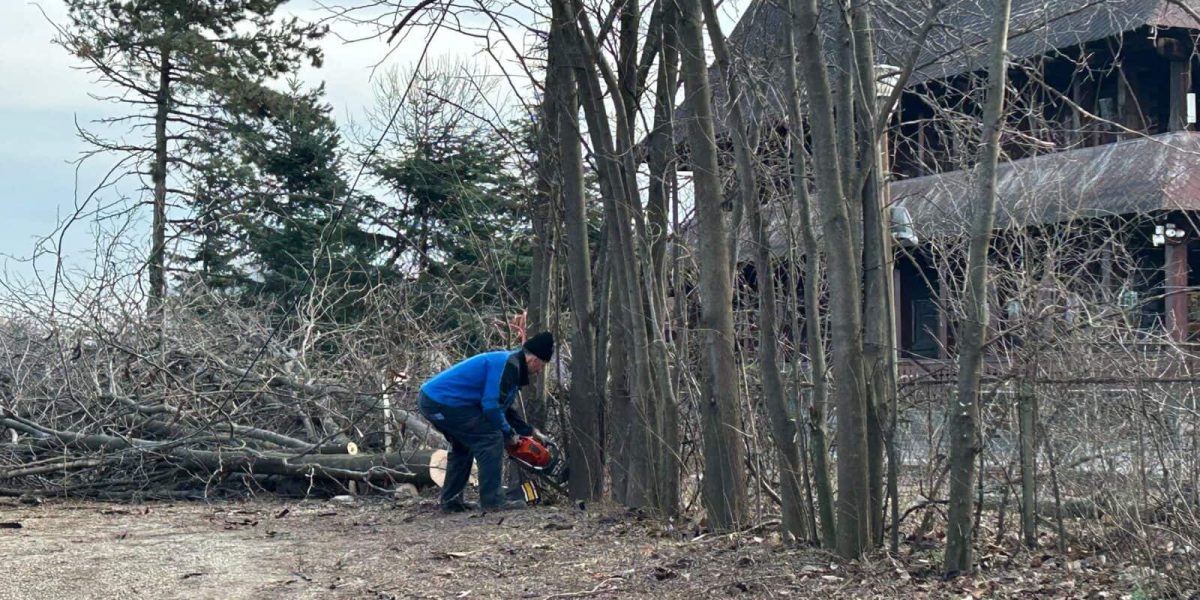 ior-aprc-1-3.jpg - StirileCorecte