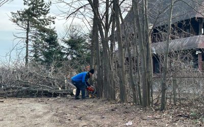 ior-aprc-1-3.jpg - StirileCorecte