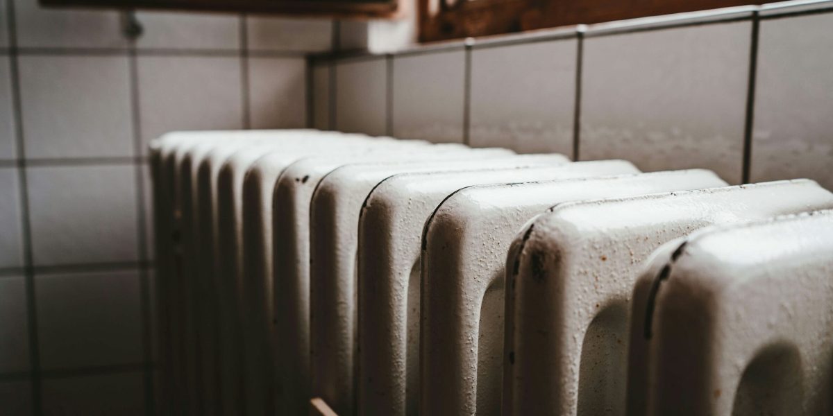 julian-hochgesang-ihx1LdtnGXw-unsplash-1-e1770715886989.jpg - StirileCorecte