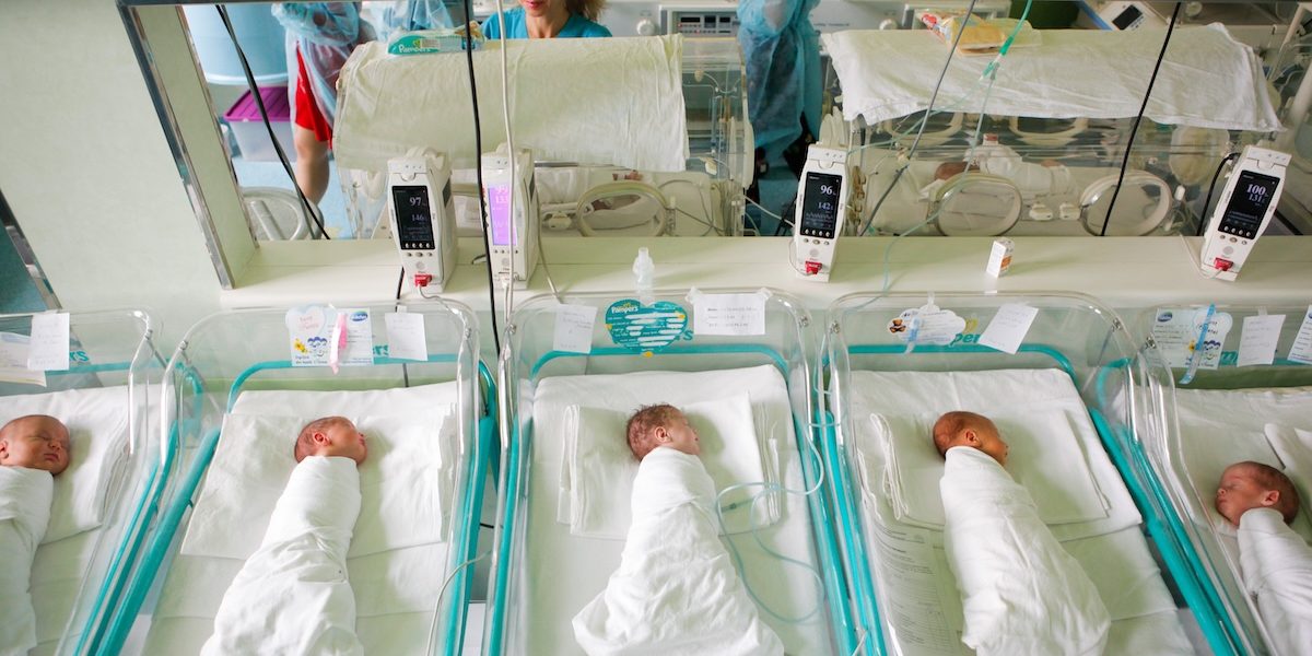 nou-nascut_INQUAM_Photos_George_Calin.jpg - StirileCorecte