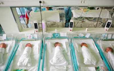 nou-nascut_INQUAM_Photos_George_Calin.jpg - StirileCorecte