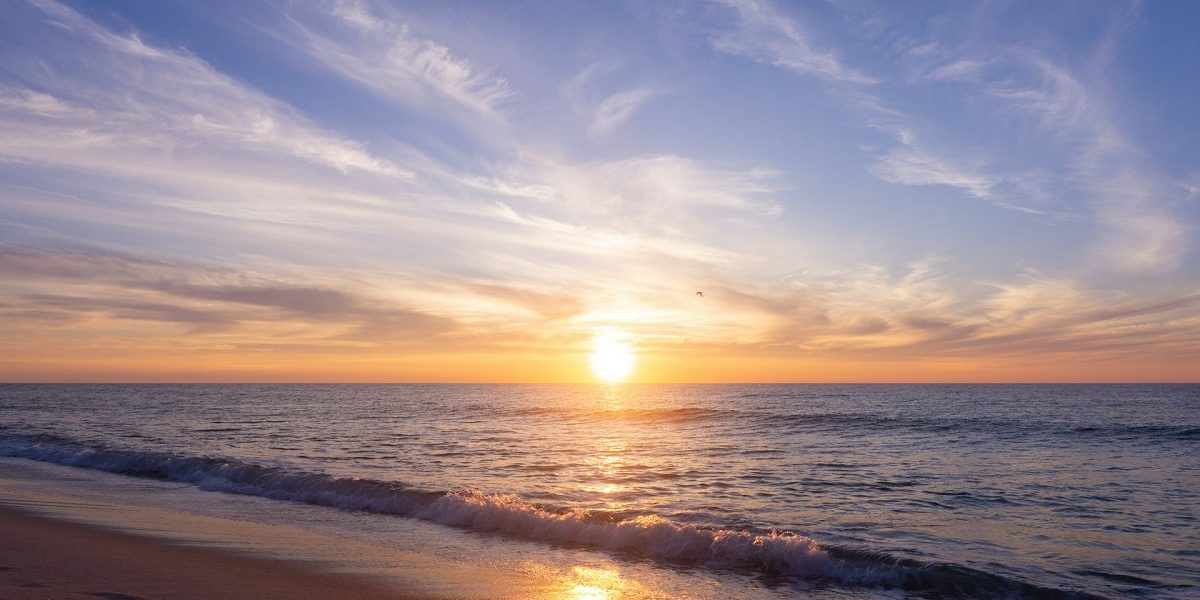 rasarit.jpg - StirileCorecte