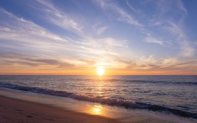 rasarit.jpg - StirileCorecte