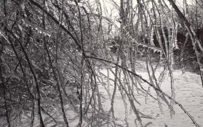 vlcsnap-2026-01-31-19h09m01s729.png - StirileCorecte