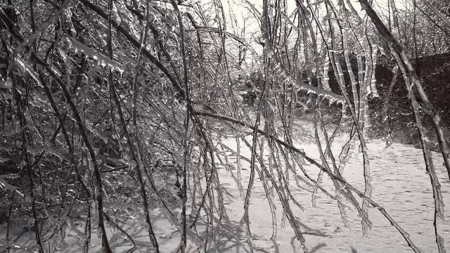 vlcsnap-2026-01-31-19h09m01s729.png - StirileCorecte