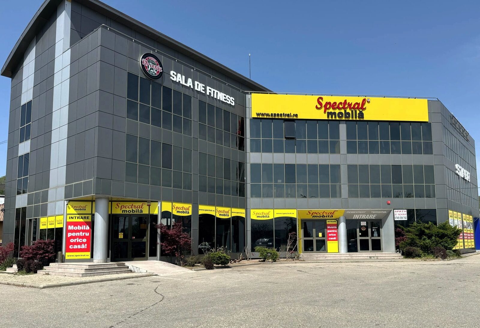Spectral Mobilă: Cifra de afaceri a urcat la 37,6 milioane lei în 2025 (+2%)
