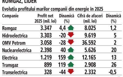 Romgaz și Nuclearelectrica, profituri record
