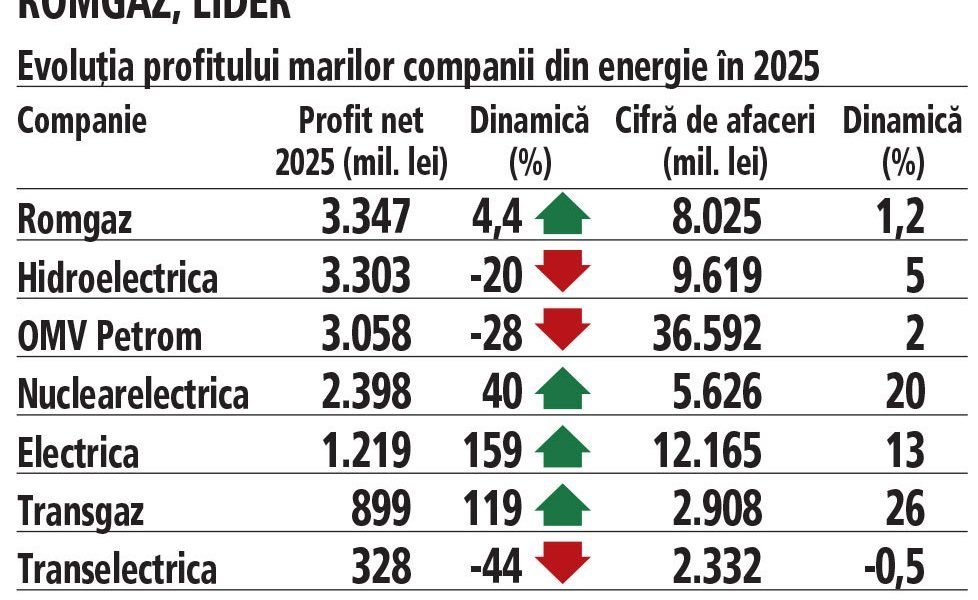 Romgaz și Nuclearelectrica, profituri record