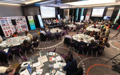 Constructorii români, la un pas de extinderea pe piețele externe, dar cu piedici România se pregătește să livreze între 230 și 250 de kilometri de autostradă și drum expres în 2026, după ce anul trecut au fost dați în trafic 200 de kilometri