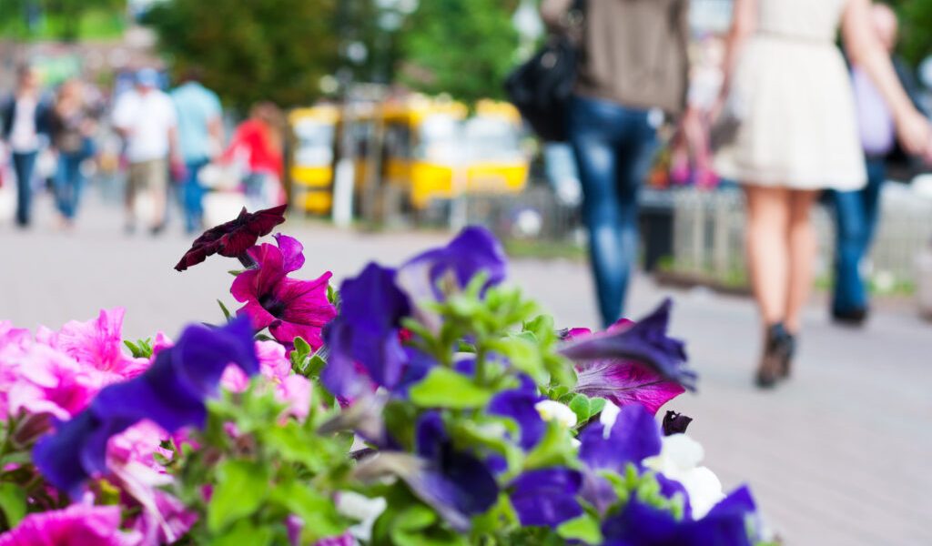 Dorobanți se pregătește de sărbătoarea Floriilor: Restricții de trafic și evenimente pentru locuitori Primăria Sectorului 1 a anunțat restricții de trafic în cartierul Dorobanți în weekendul Floriilor, 4-5 aprilie