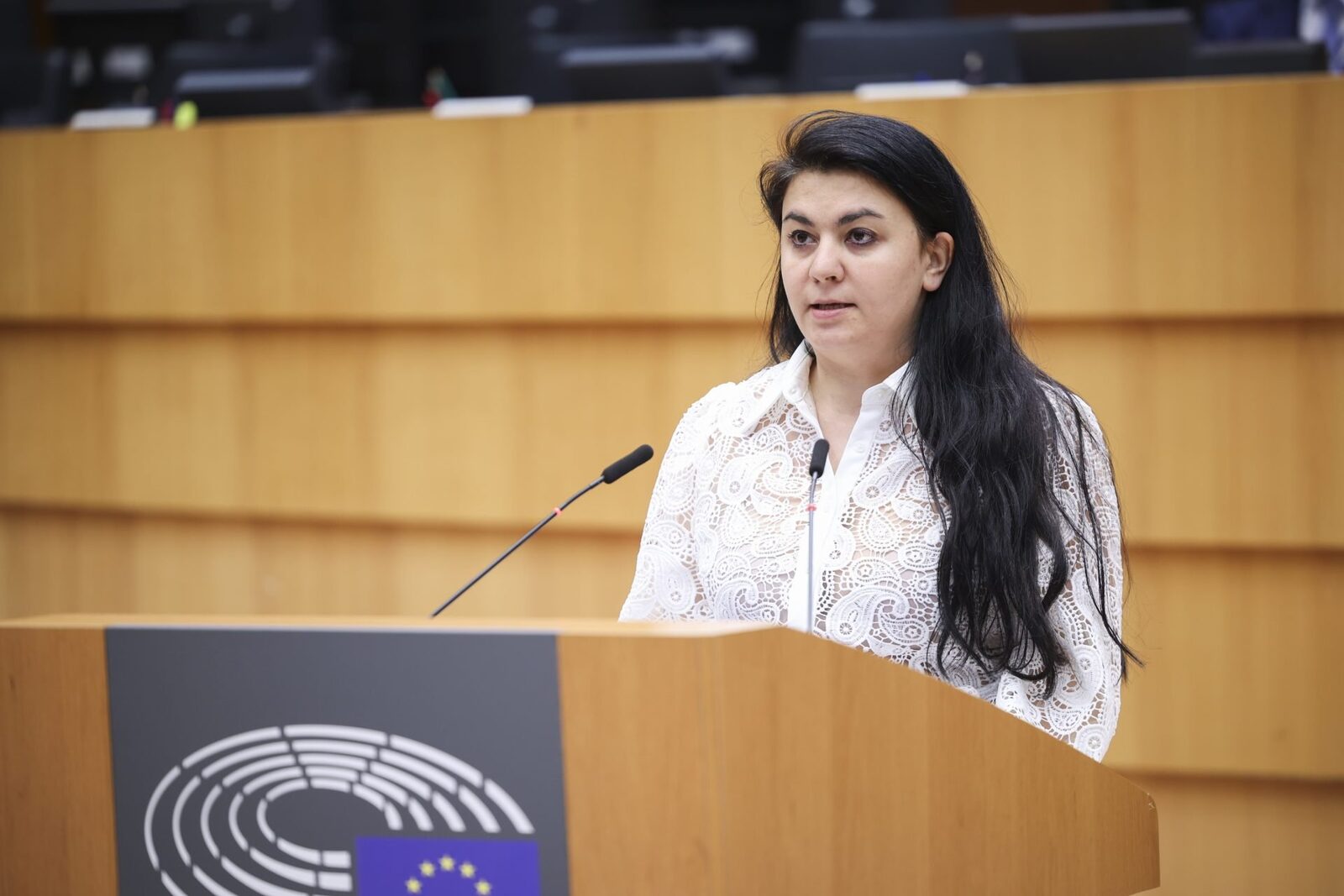 Parlamentul European aprobă directive despre returnarea migranților ilegali; Georgiana Teodorescu salută măsura Parlamentul European a adoptat o directivă menită să eficientizeze returnarea resortisanților țărilor terțe aflați în ședere ilegală