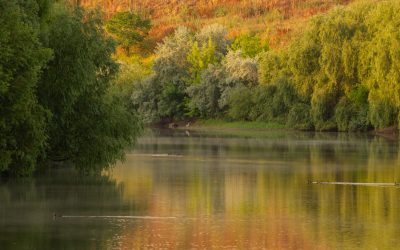 Atelier foto gratuit în București, pe traseul Dâmbovița-Lacul Morii Asociația Parcul Natural București (APNB) organizează un atelier de explorare fotografică în zona dintre râul Dâmbovița și Lacul Morii