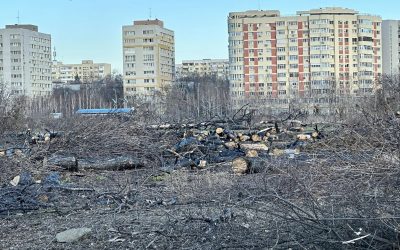 Primarul capitalei: Aur, cerințe de bun simț pentru stoparea boicotului. Expropriere la IOR?