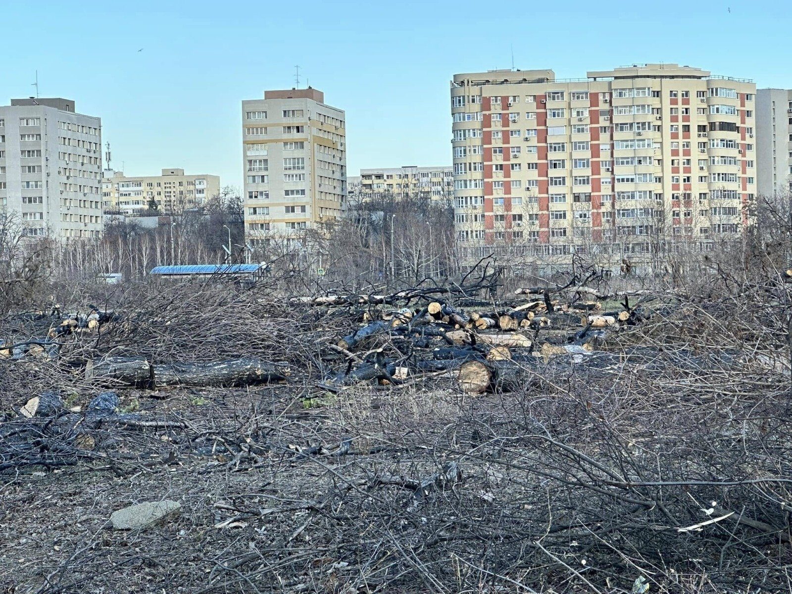 Primarul capitalei: Aur, cerințe de bun simț pentru stoparea boicotului. Expropriere la IOR?
