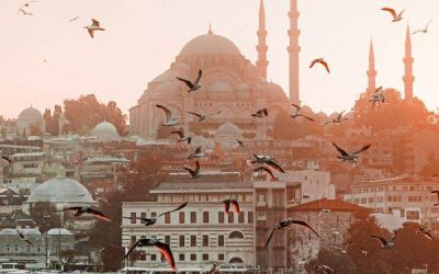 Turcia: Summitul climatic COP31, prioritate pentru implementare, în 2026