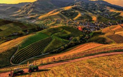 Agricultura digitală, aliatul fermierilor români în fața climei – 16.03.2026