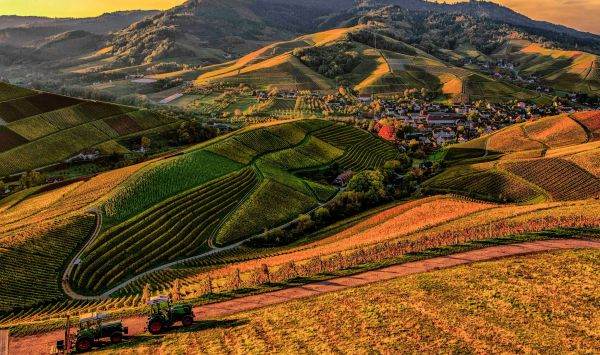 Agricultura digitală, aliatul fermierilor români în fața climei – 16.03.2026