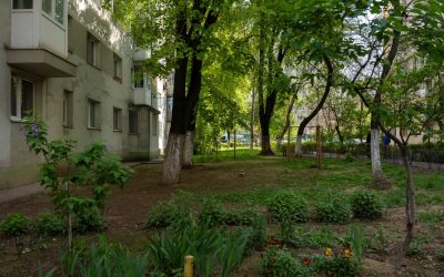 Refacerea spațiilor verzi din Pantelimon: Studenți în competiția C40