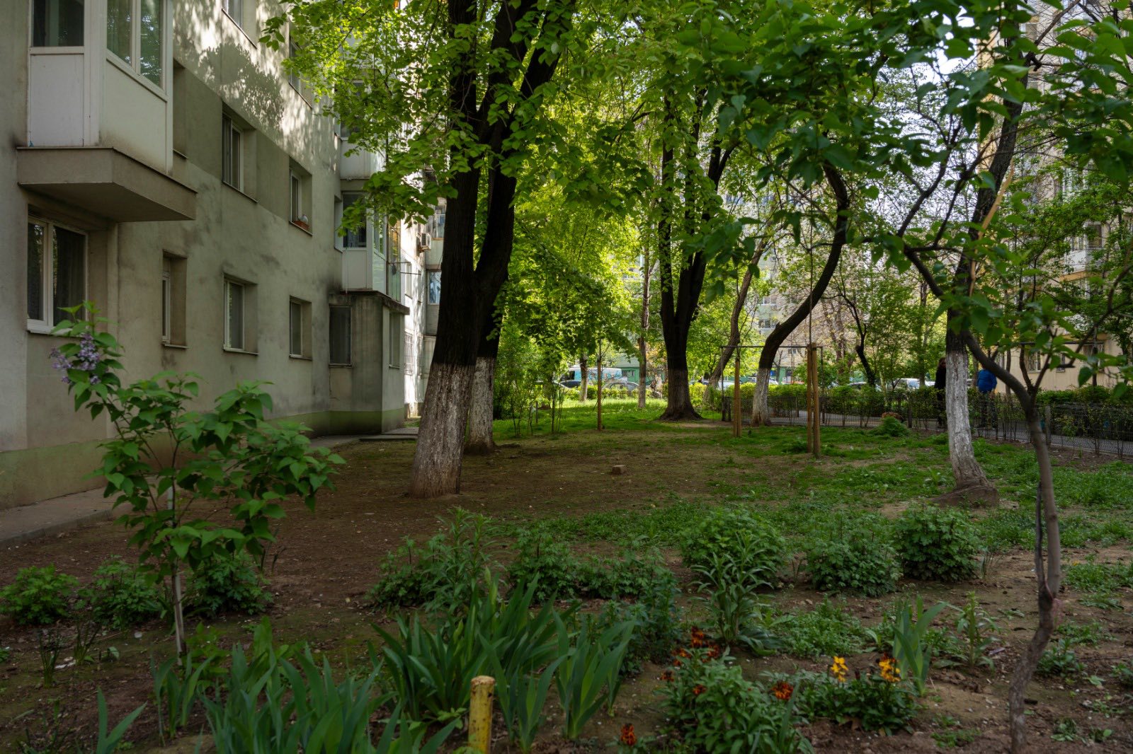 Refacerea spațiilor verzi din Pantelimon: Studenți în competiția C40