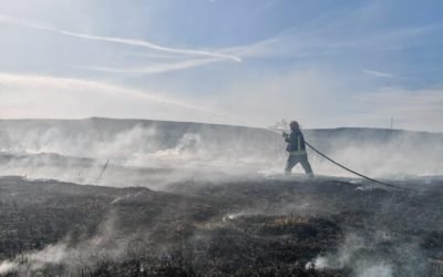 Incendii de vegetație, o problemă recurentă în Cluj Clujul se confruntă din nou cu o problemă veche: incendiile de vegetație uscată