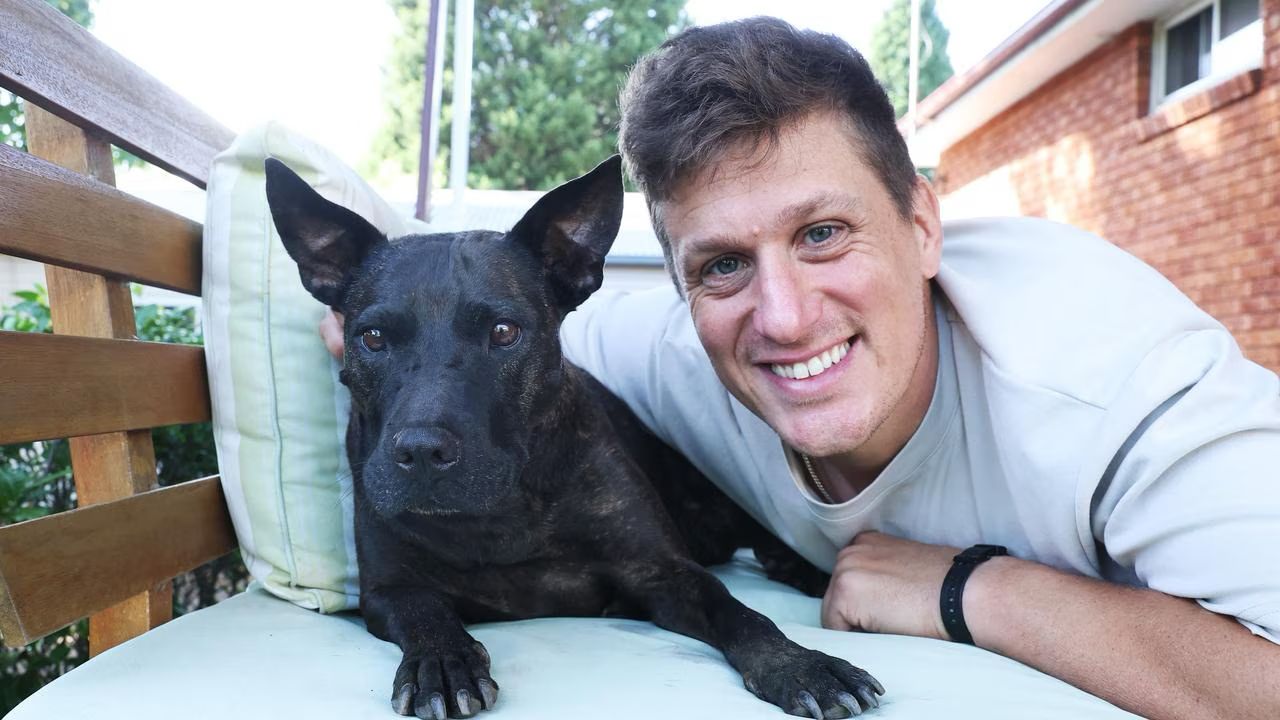 Antreprenor australian folosește inteligența artificială pentru a trata cancerul unui câine Paul Conyngham, un antreprenor tech din Sydney, cu o experiență de peste 17 ani în domeniul machine learning și data analysis, a reușit să obțină rezultate promițătoare în tratarea cancerului canin, prin combinarea inteligenței artificiale (AI) cu genomică și vaccinuri mRNA