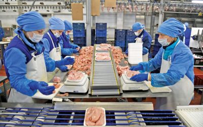 Ready-meals: piața preparatelor gata de consum crește accelerat în România Piața de ready-meals, mâncarea gata preparată sau care necesită doar încălzire, a înregistrat o creștere semnificativă în România