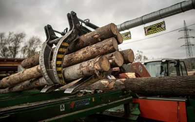 Echipamente moderne, mijloace de supraveghere video și zone-pilot: Planul Ministerului Mediului pentru a combate tăierile ilegale de arbori Ministra Mediului, Diana Buzoianu, a anunțat o schimbare majoră în modul de marcare a arborilor destinați tăierii, trecerea de la metoda tradițională a ciocanului la echipamente moderne