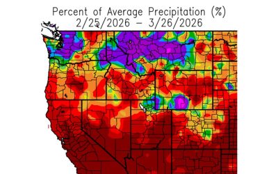 Vremea nebună din martie 2026: Cum se conectează sistemele meteorologice aparent separate Martie 2026 a fost o lună care a intrat în istorie din punct de vedere meteorologic