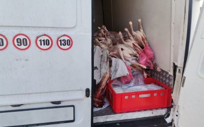 Prețul cărnii de miel explodează în România: Scumpirea fără precedent a depășit recordul istoric Prețul cărnii de miel a crescut vertiginos în România, atingând un nivel record în ultima săptămână, potrivit datelor oficiale ale Comisiei Europene