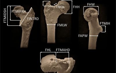 Cel mai vechi strămoș uman, descoperit în Bulgaria
