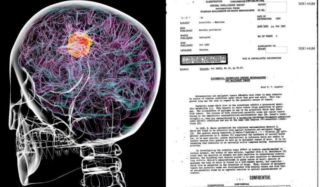Un raport declasificat al CIA readuce în discuție o teorie veche despre cancer Un document clasat anterior ca „Confidențial”, datând din februarie 1951, dezvăluie interesul serviciilor de informații americane pentru cercetările științifice sovietice care analizau posibile legături biologice între paraziți și cancer