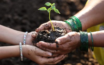 Platformă europeană pentru promovarea femeilor în agricultură Comisia Europeană a lansat o platformă dedicată promovării femeilor în agricultură